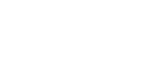 Logo naiSens